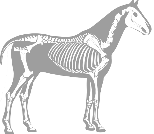 Side view